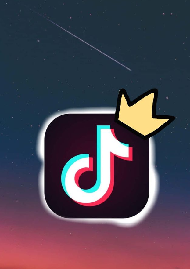 TikTok Ads: The Ultimate Guide to Reaching Your Audience and Driving Conversions